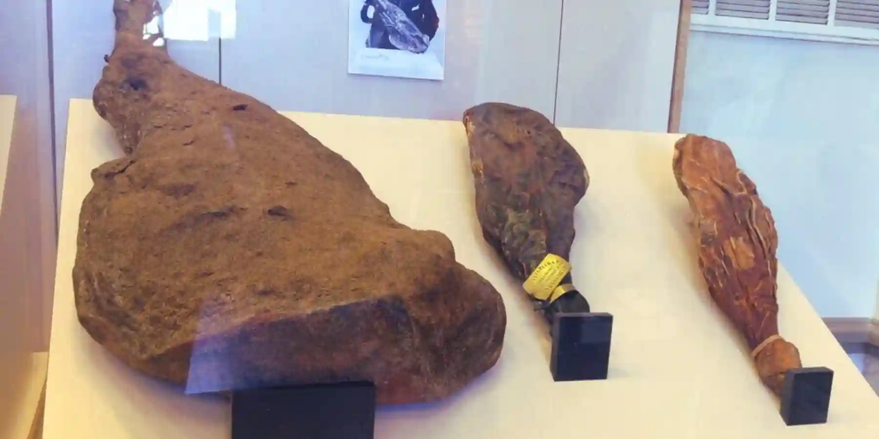 Ham Cam at Isle of Wight County Museum!
