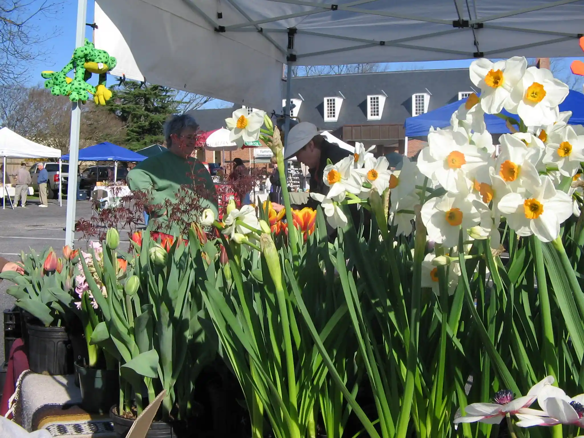 Smithfield’s Award-Winning Farmers Market